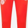 Men Tracksuit Pants | Slim Fit Workout Pants 'Fc Bayern Munchen Tiro 23'