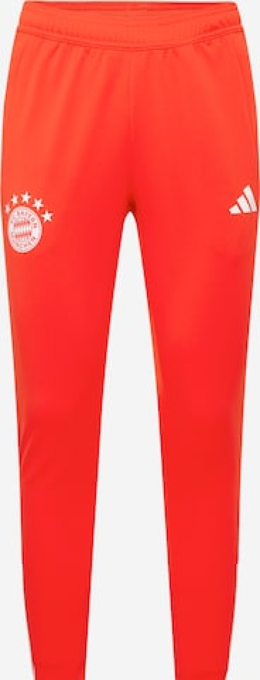 Men Tracksuit Pants | Slim Fit Workout Pants 'Fc Bayern Munchen Tiro 23'