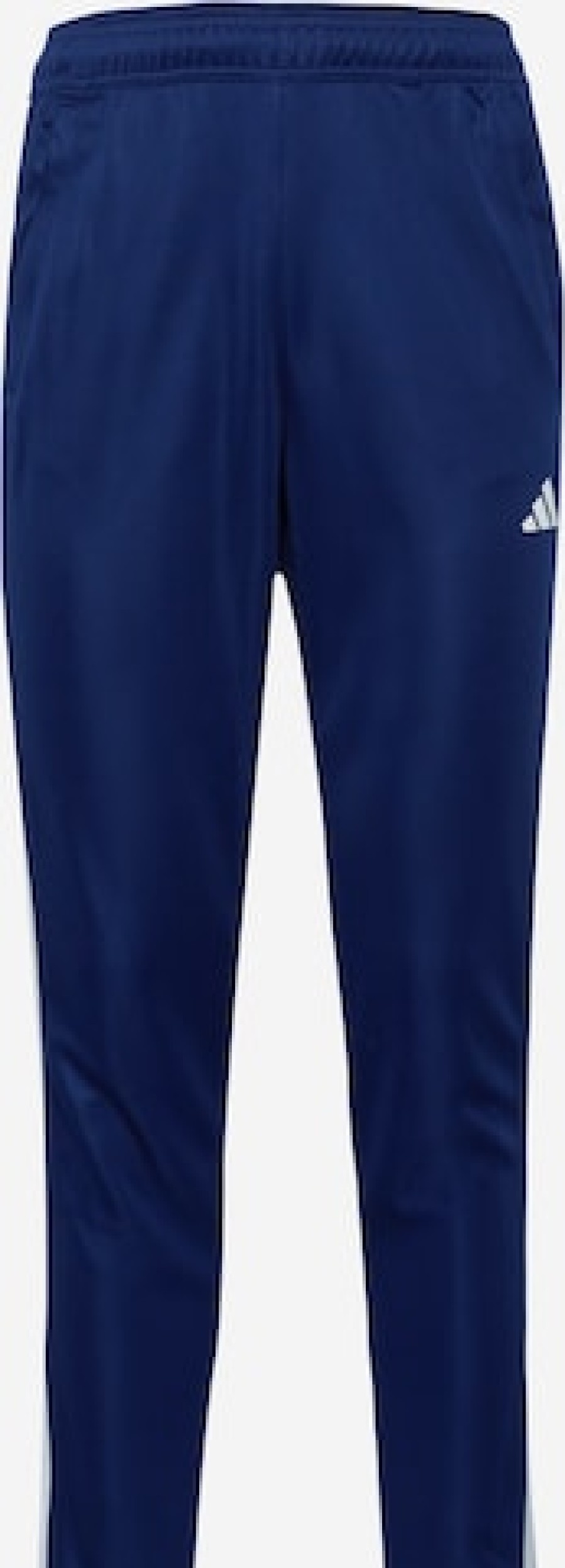 Men Tracksuit Sports Bottoms | Regular Workout Pants 'Essentials'