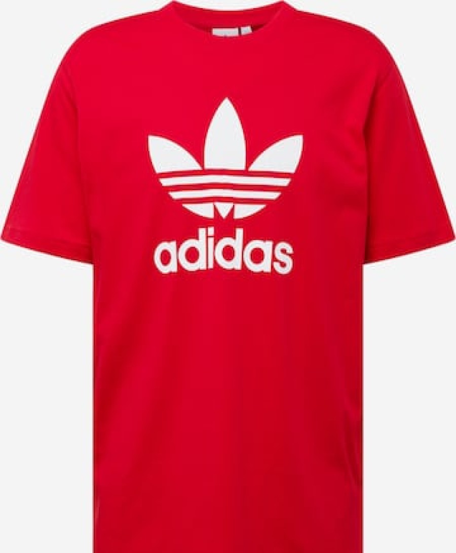 Men ADIDAS T-Shirts | Shirt 'Adicolor Trefoil'