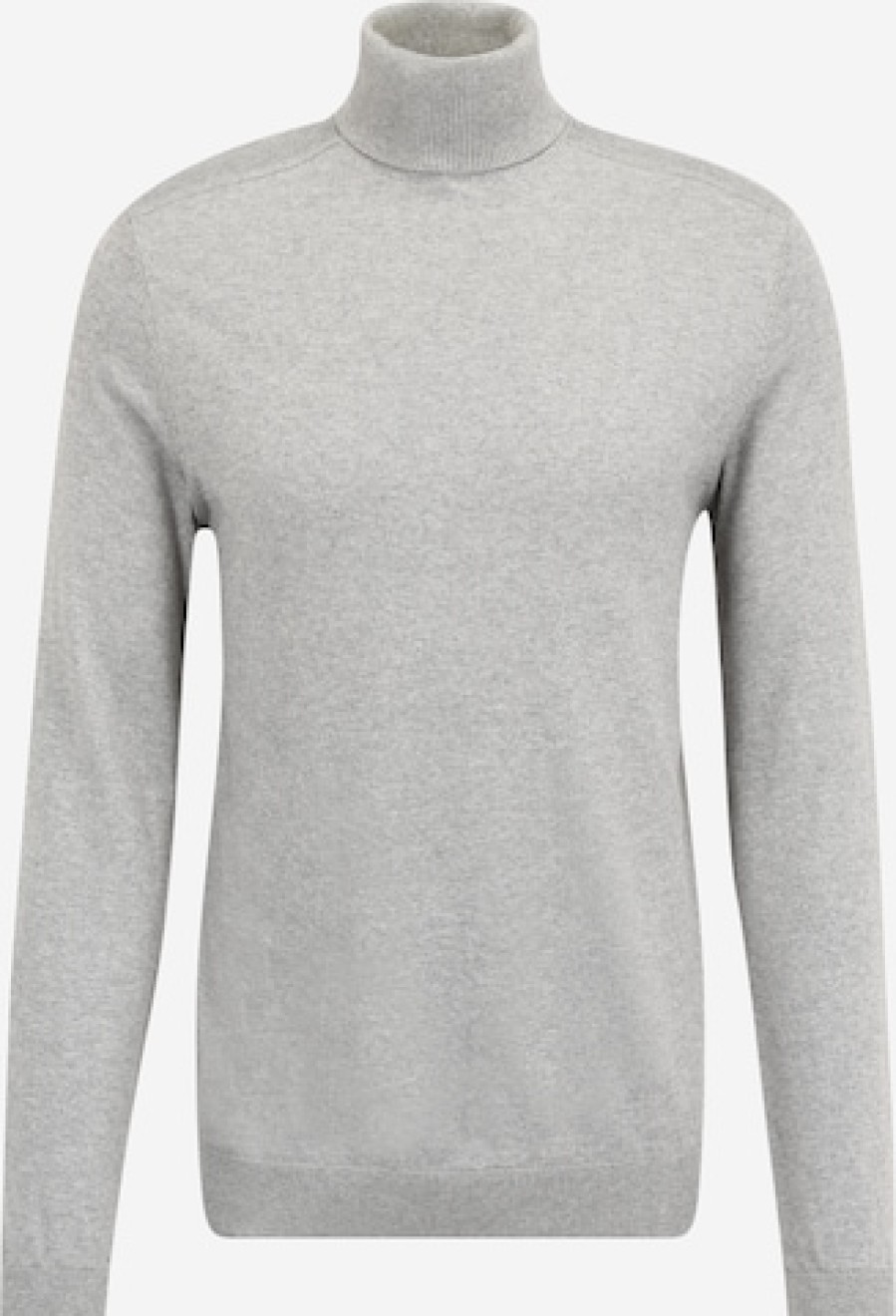 Men Turtlenecks Sweaters & Cardigans | Regular Fit Sweater 'Berg'