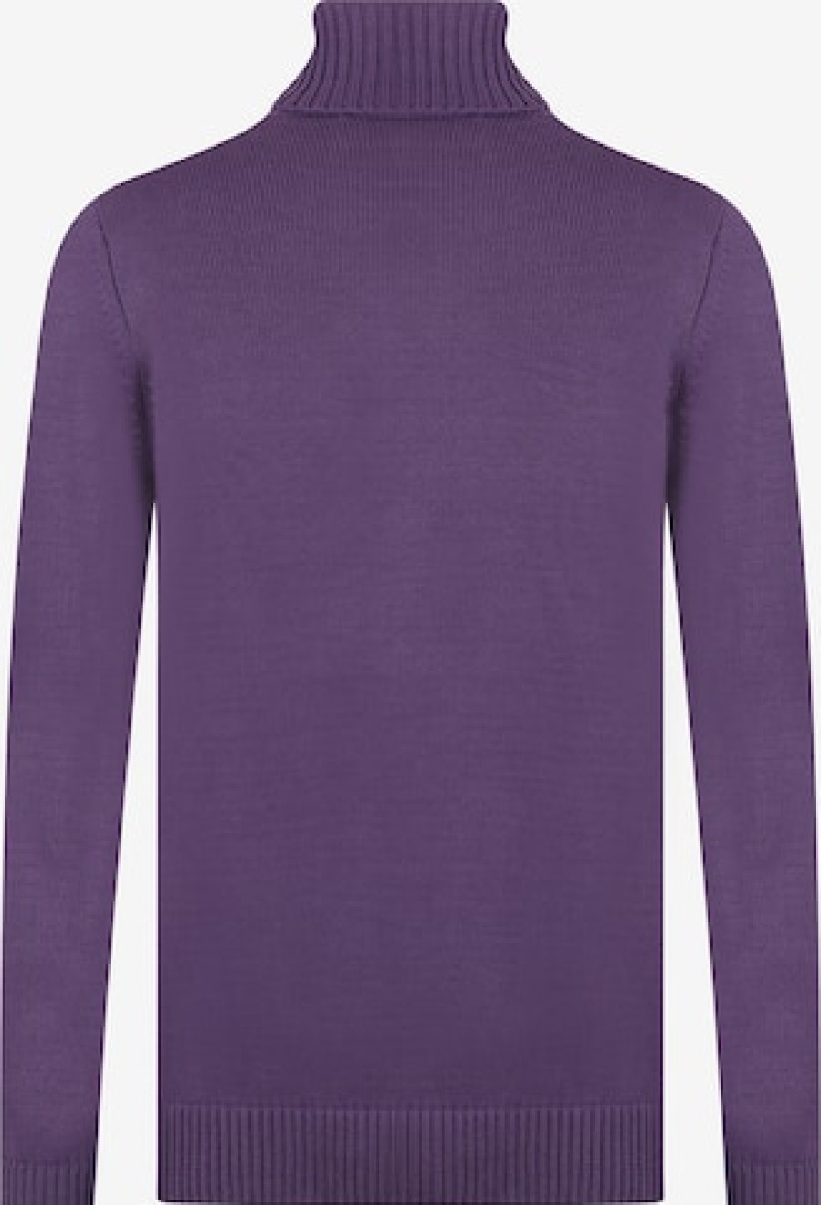 Men Turtlenecks Plus Sizes | Sweater 'Jason'