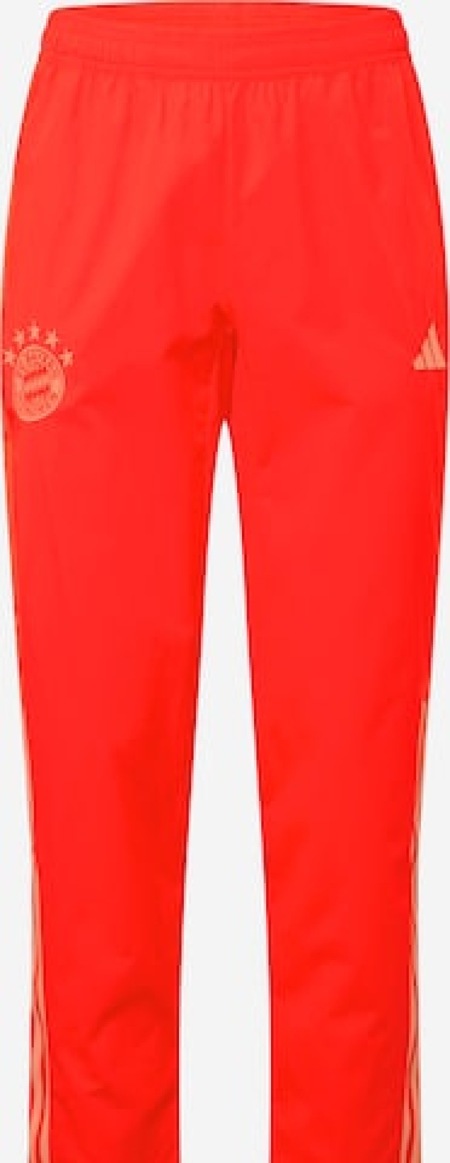 Men Tracksuit Sports Bottoms | Regular Workout Pants 'Fc Bayern Munchen'